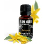 BellMedi Ylang Ylang esenciální olej 50 ml – Hledejceny.cz