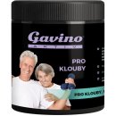 Gavino Aktiv pro klouby 700 g