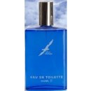 Parfém Blue Stratos toaletní voda pánská 100 ml