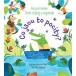 Co jsou to pocity? – Sleviste.cz