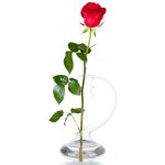 DT GLASS Skleněná váza Klára na jednu květinu malá bez dekoru – Hledejceny.cz
