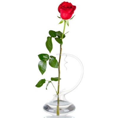 DT GLASS Skleněná váza Klára na jednu květinu malá bez dekoru – Hledejceny.cz