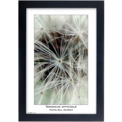 TRADAG Natura 20 x 30 černý – Zboží Živě