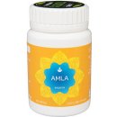 Aimil Pharmaceuticals Amla 60 kapslí