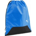 Puma Teamgoal modrý 090240-02 – Hledejceny.cz