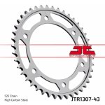 JT Sprockets JTR 1307-43 – Hledejceny.cz