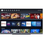 Loewe WE SEE 55 – Sleviste.cz