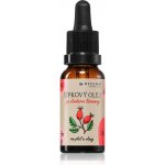 Regina Šípkový vyživující regenerující olej na pleť pokožku a vlasy 20 ml – Zboží Dáma