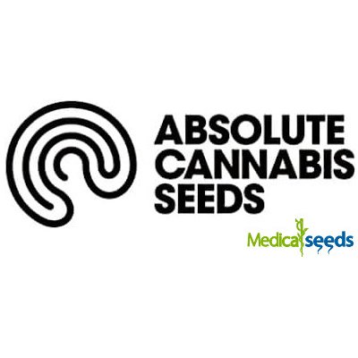 Absolute Cannabis Seeds Nordés semena neobsahují THC 1 ks
