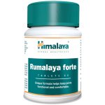 Himalaya Rumalaya Forte 60 tablet – Hledejceny.cz