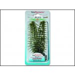 Tetra Anacharis 15 cm – Sleviste.cz