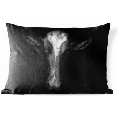 MuchoWow Vnější polštář Portrétní fotografie krávy na černém pozadí v černobílé barvě 60x40 – Zboží Mobilmania