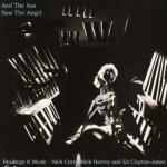 Cave Nick / Mick Harvey - And The Ass Saw The Angel CD – Hledejceny.cz