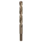 Bosch 2608585903 – Hledejceny.cz