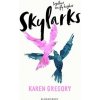 Skylarks - Karen Gregory