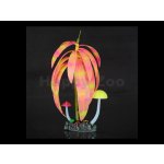 Aqua Lumo rostlina s proužky a houbami 7 x 3,2 x 19,5 cm – Hledejceny.cz