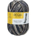 Schachenmayr - Regia Regia 6ply Fjord Color Finn 02833