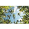 Tapety SHX9-108 Fototapeta vliesová Coconut Heaven rozměry 450x280 cm