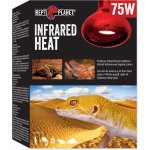Repti Planet Infrared Far Heat 75 W – Zboží Dáma Repti Planet Infrared Far Heat 75 W – Zboží Dáma
