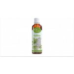 Serafin tinktura z bylin Kaštan Chestnut 50 ml – Hledejceny.cz
