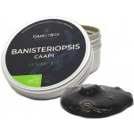 Gaia Store Banisteriopsis Caapi Caupuri 30:1 extrakt 25 g – Zbozi.Blesk.cz