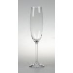 Crystalite Bohemia Sklenice na šampaňské COLIBRI 220 ml – Zboží Mobilmania