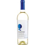 Domaine Boyar Quantum Sauvignon Blanc bílé 2023 13% 0,75 l (holá láhev) – Zboží Mobilmania