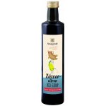 Sonnentor Zázvor citron sirup bio 500 g – Hledejceny.cz