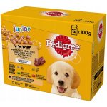 Pedigree Junior kuřecí 12 x 100 g – Sleviste.cz