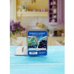Kringle Candle vonný vosk Wild Lavender & Blueberry 64 g – Sleviste.cz