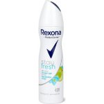 Rexona Stay Fresh Blue deospray 150 ml – Zbozi.Blesk.cz