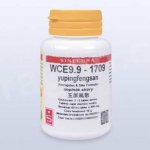 Sinecura WCE9.9-1709 yupingfengsan 60 tablet – Hledejceny.cz