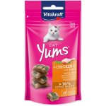 Vitakraft Cat Yums Kuře & kočičí tráva 40 g – Hledejceny.cz