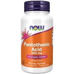 Now Foods Pantothenic Acid 500mg 100 kapslí – Hledejceny.cz