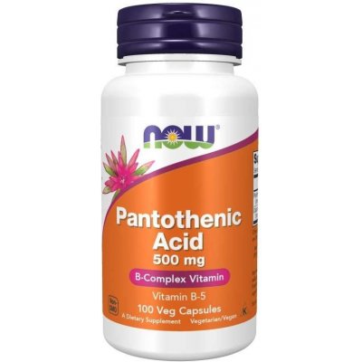Now Foods Pantothenic Acid 500mg 100 kapslí – Hledejceny.cz