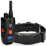 Dogtra ARC 800 - pro 1 psa – Hledejceny.cz