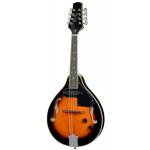 Harley Benton HBMA-50 E – Zbozi.Blesk.cz