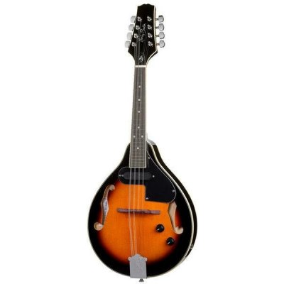Harley Benton HBMA-50 E – Zbozi.Blesk.cz