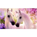 Norimpex Diamantové malování Zamilovaní koně 30 x 40 cm – Hledejceny.cz