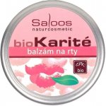 Saloos BIO Karité balzám na rty 19 ml – Zbozi.Blesk.cz