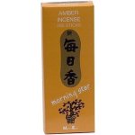 Nippon kodo Vonné tyčinky Amber Jantarové 200 ks – Hledejceny.cz