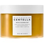 Skin1004 Madagascar Centella Quick Calming Pad 130 ml – Sleviste.cz