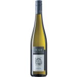 Green Grüner Veltliner, Kamptal DAC, Johann Topf 2025 11,5% 0,75 l (holá láhev) – Hledejceny.cz
