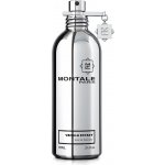 Montale Vanilla Extasy parfémovaná voda dámská 100 ml – Hledejceny.cz