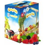 Ovocňák mošt z lesního ovoce 3L – Zboží Dáma