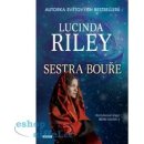 Kniha Sestra bouře – rodinná sága Sedm sester 2 - Riley Lucinda