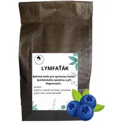 Horse life Lymfaťák BYLINKY PRO PODPORU LYMFATICKÉHO SYSTÉMU A PŘI FLEGMONÁCH 0,3 kg – Hledejceny.cz