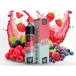 Infamous Liqonic Juicy Red Fruits 10 ml – Zbozi.Blesk.cz