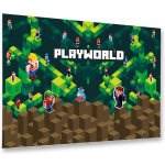 Karton P+P podložka na stůl 60x40cm Playworld – Zboží Dáma