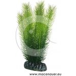 Hobby plastová rostlina Mayaca 16 cm – Zboží Mobilmania